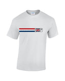 Mini 60th Year Anniversary Stripe